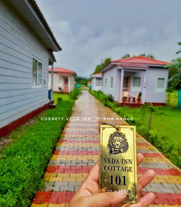 Jim Corbett Resorts: A Complete Guide to Planning a Comfortable Nature Stay