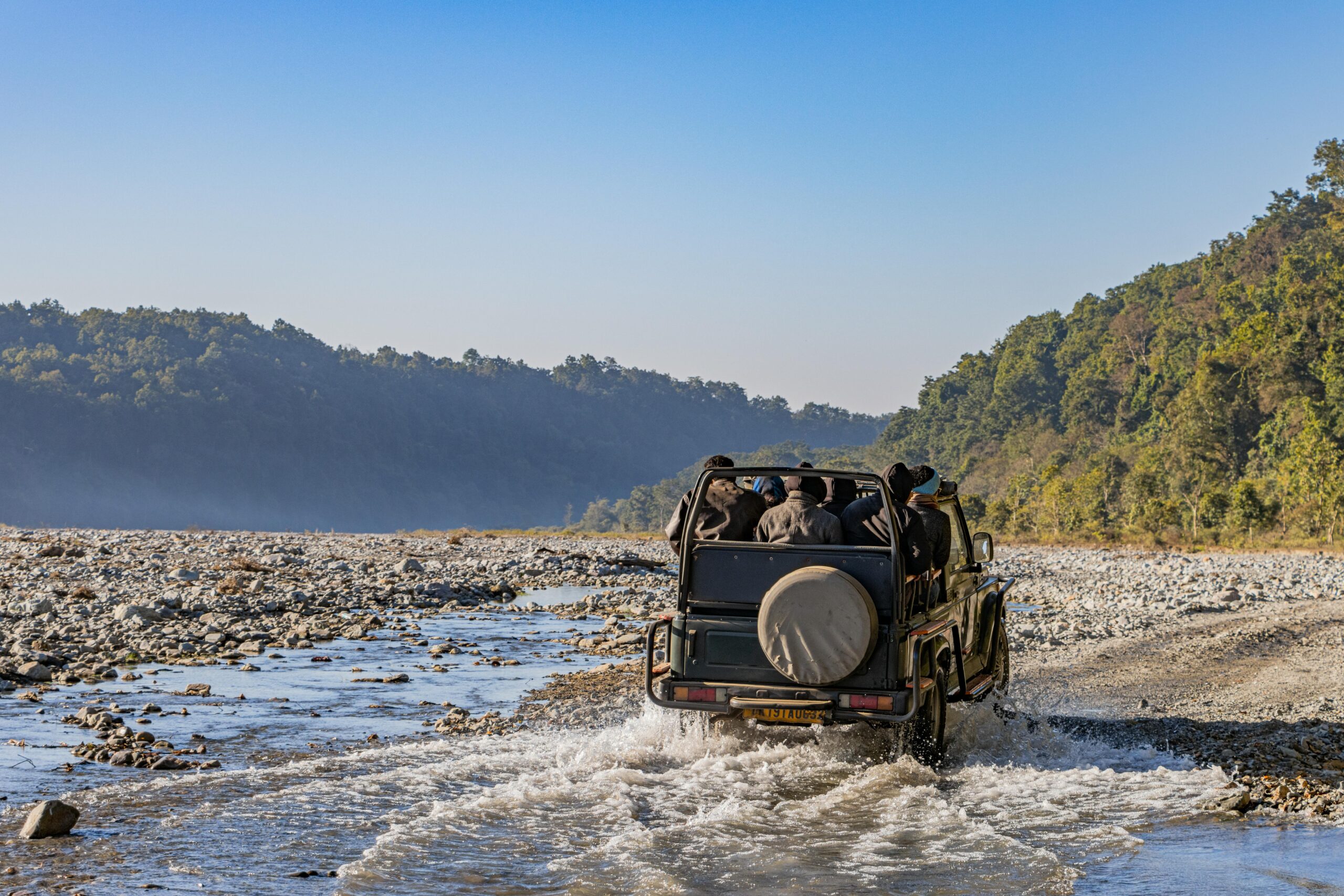 Jim Corbett National Park, Safari Experience